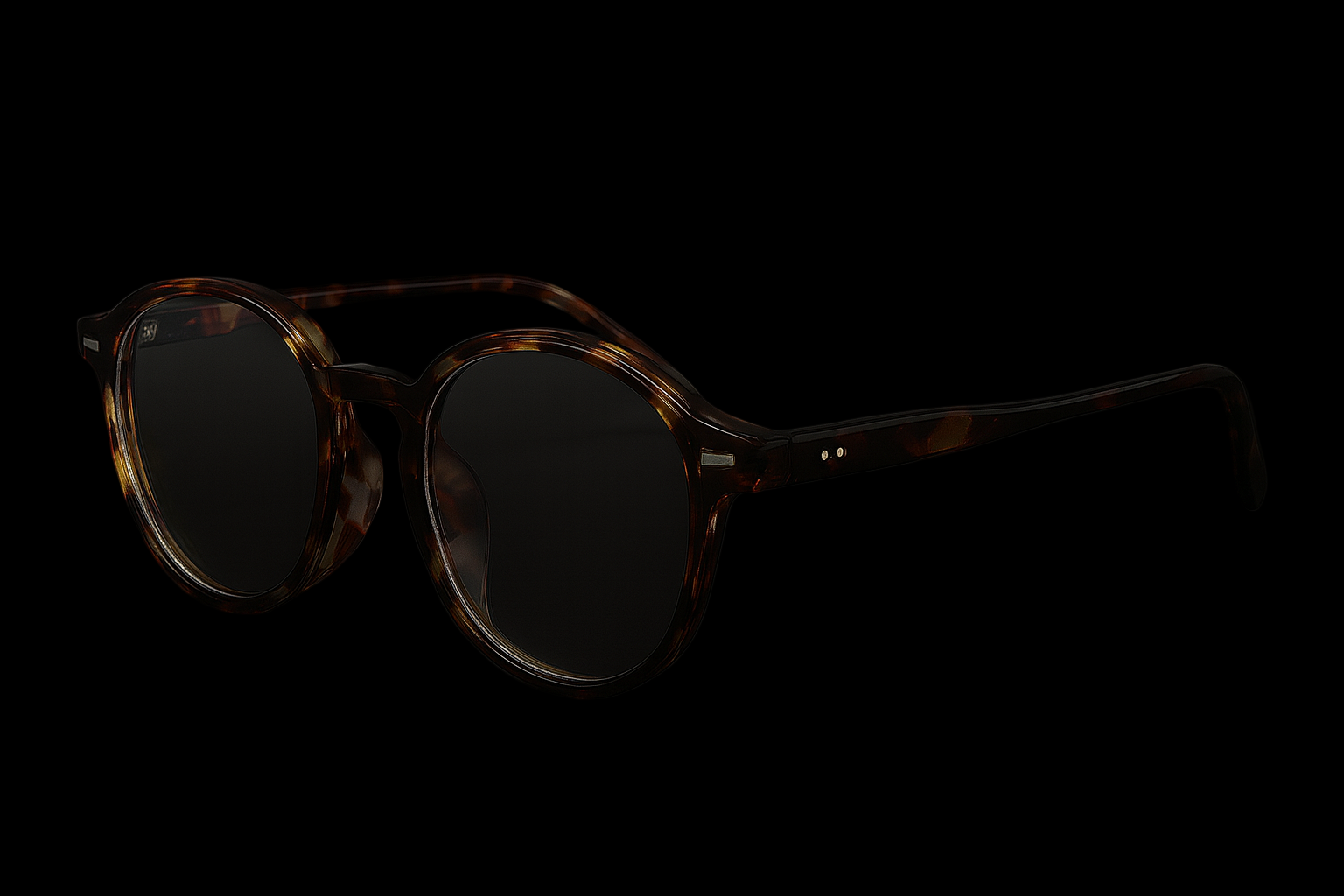 S1 Laurent Tortoise