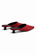 Selwyn Point Mule
