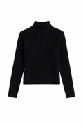 Alpine Rib Turtleneck