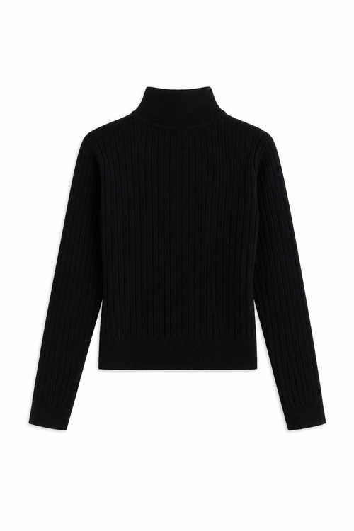 Alpine Rib Turtleneck