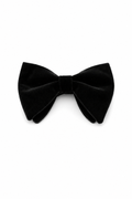 Bow Tie