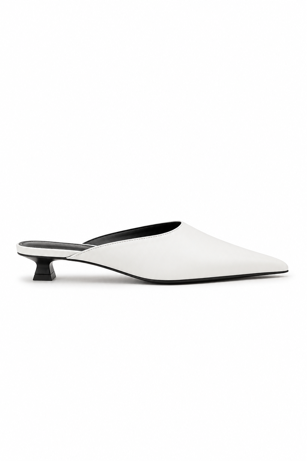 Selwyn Point Mule