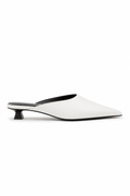Selwyn Point Mule