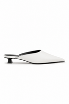 Selwyn Point Mule