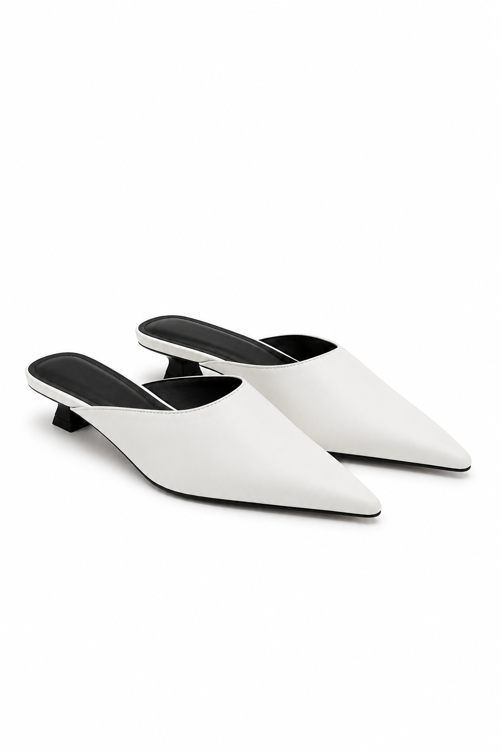 Selwyn Point Mule