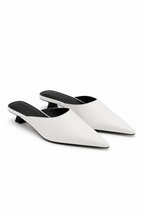 Selwyn Point Mule