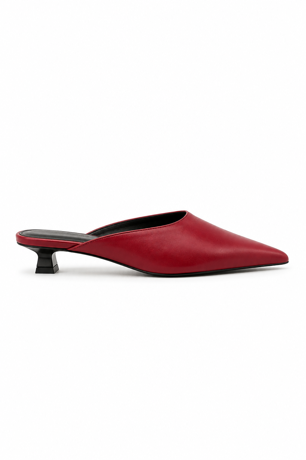 Selwyn Point Mule