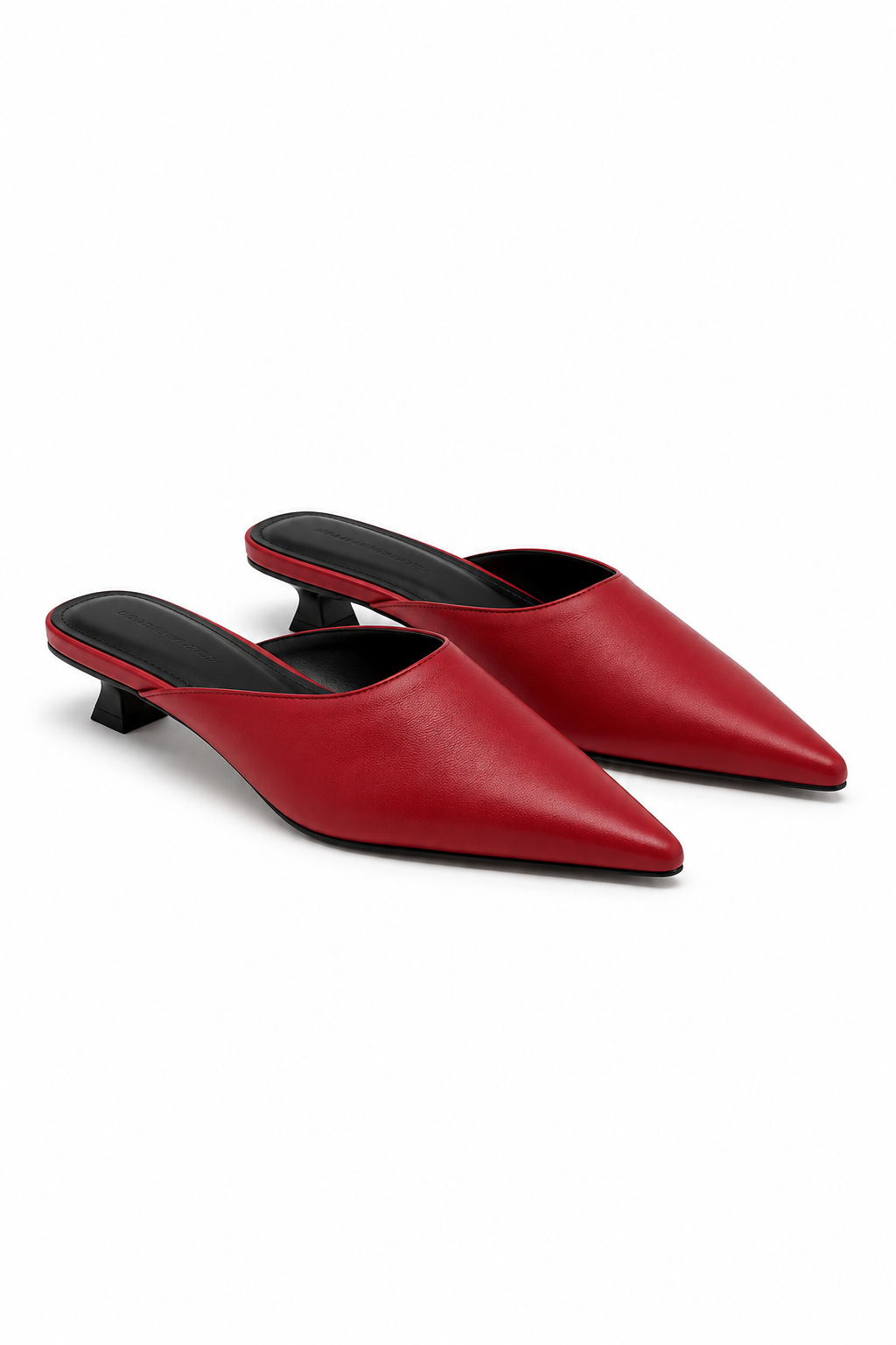 Selwyn Point Mule
