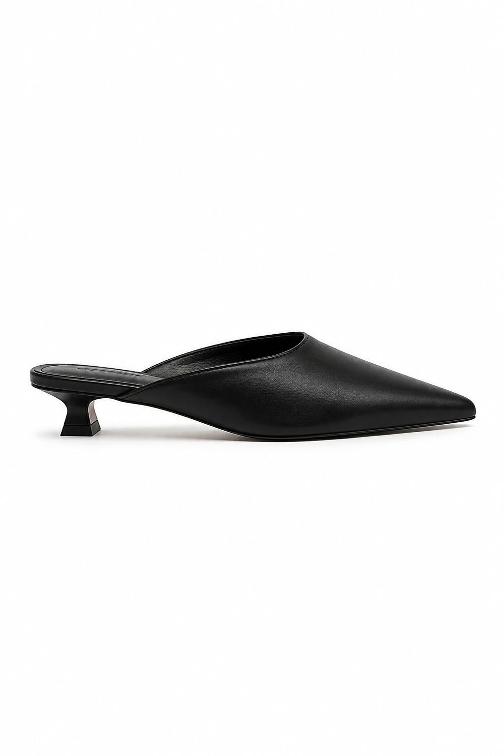 Selwyn Point Mule